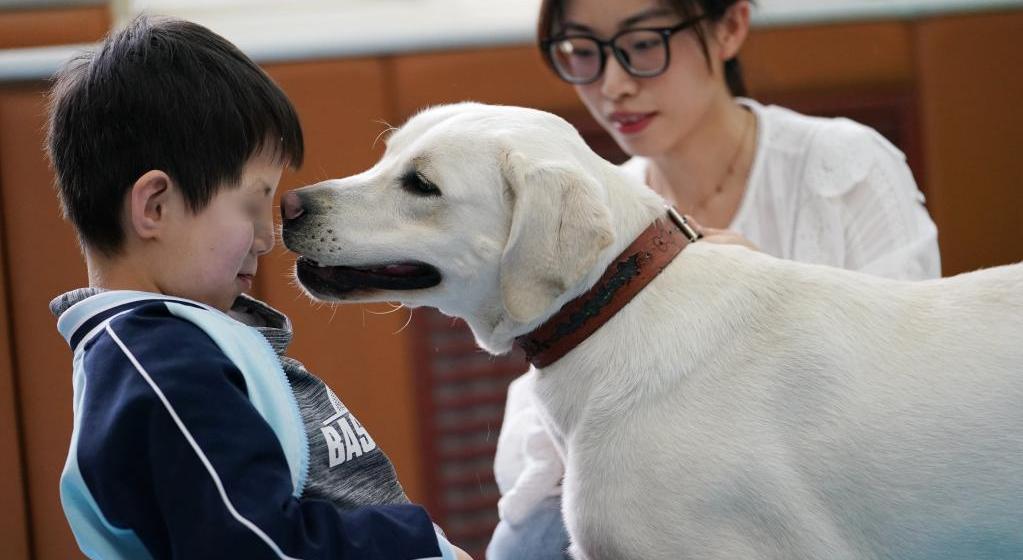 新华全媒+丨“转业”导盲犬的爱心守护