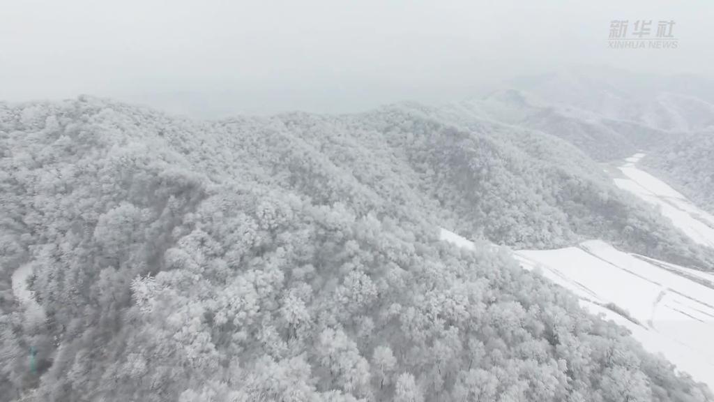 雪落秦嶺 美景如畫